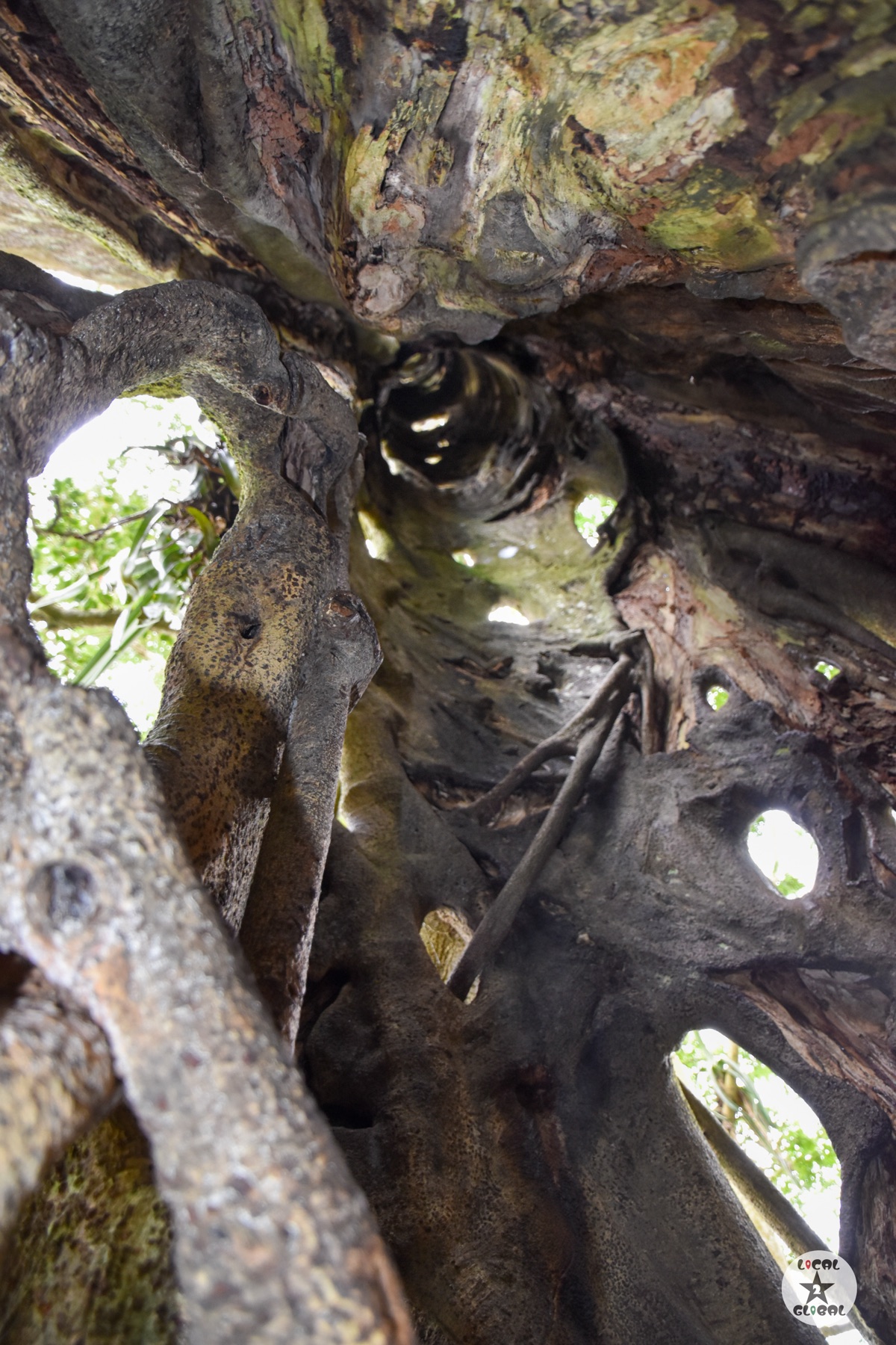 Looking up through the roots — Local2Global perspective