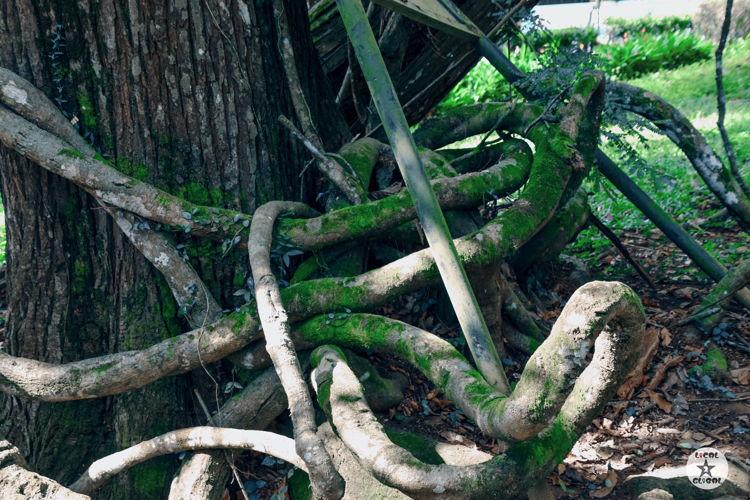 Tree roots — Local2Global